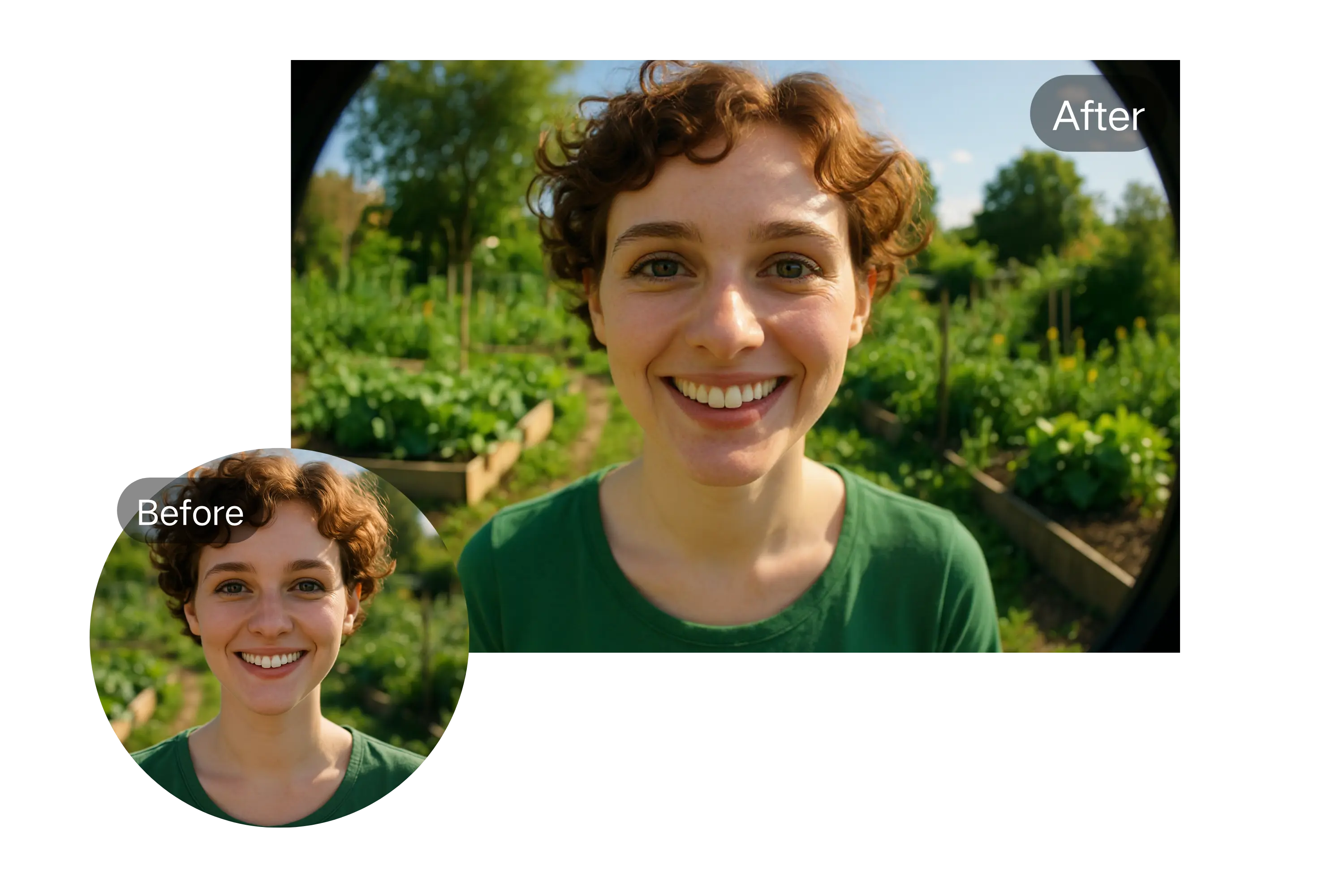 Instant Fisheye Effect Preview