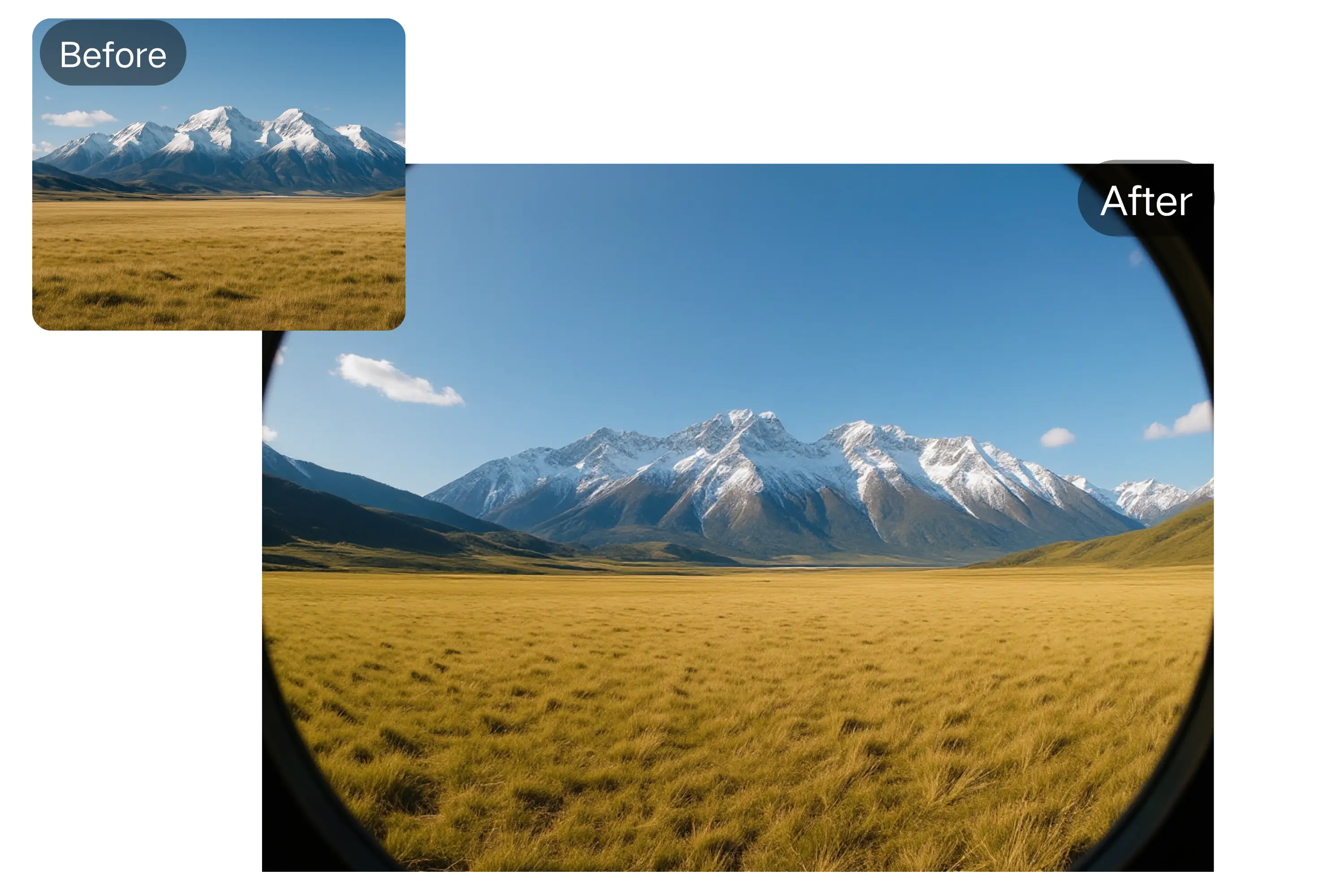 High-Resolution Fisheye Picture Output