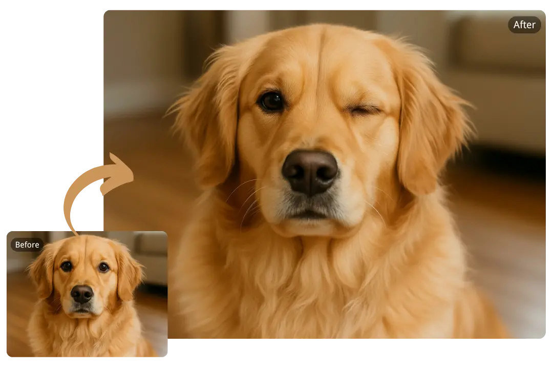AI Wink Filter That Makes Pet Photos Irresistible