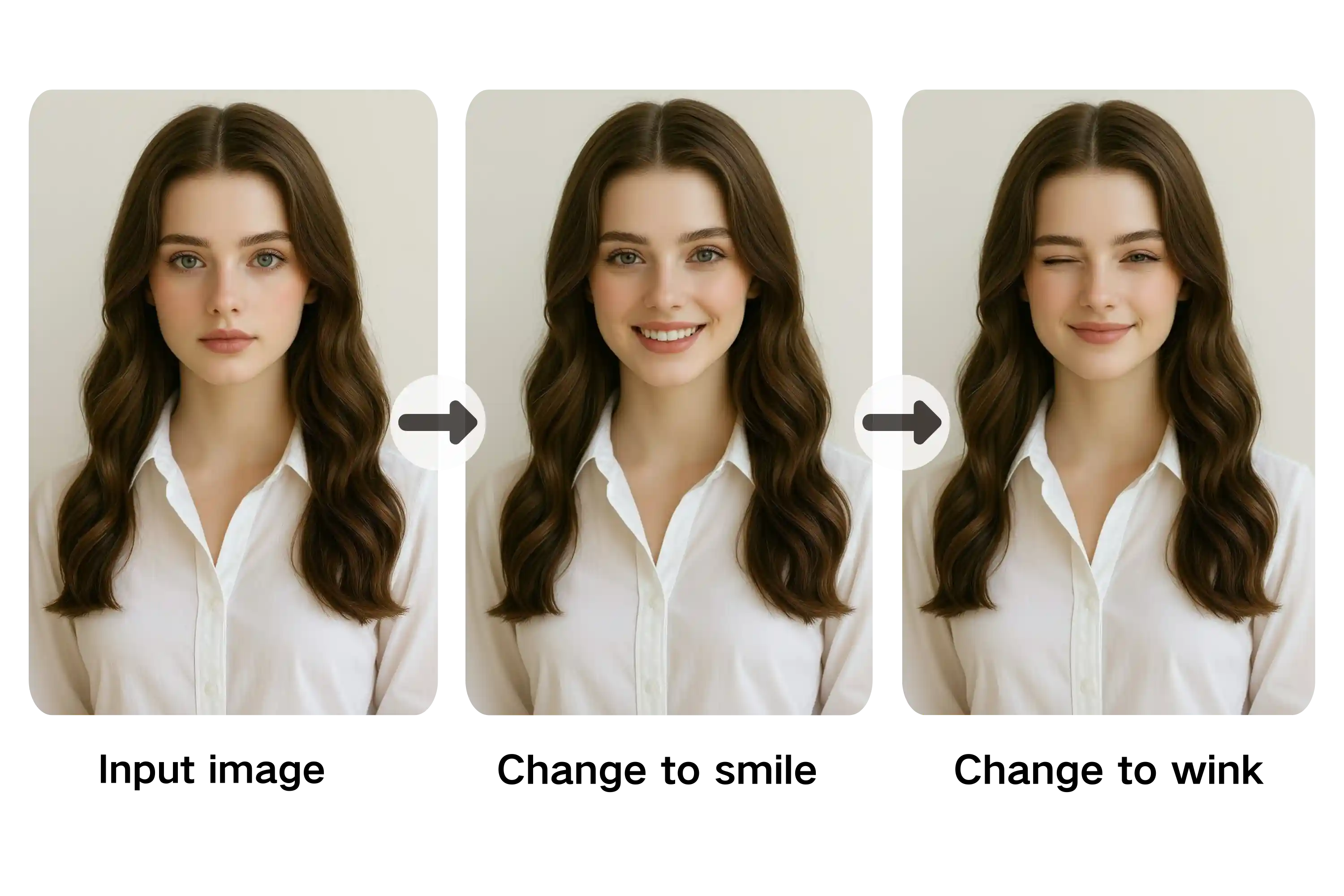 Facial Expression Changer with Multiple Filters