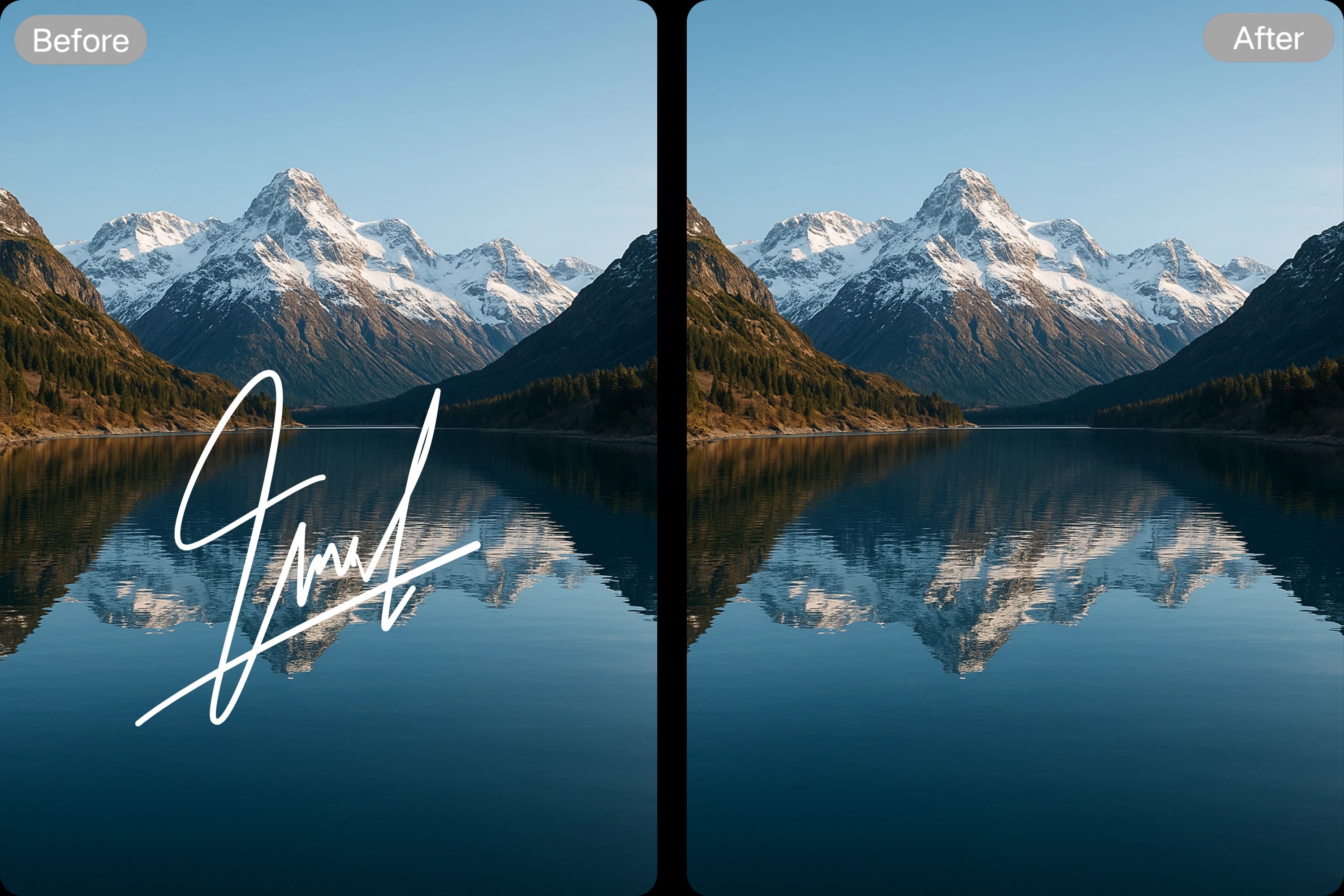 Personal & Commercial Use Signature Cleaner