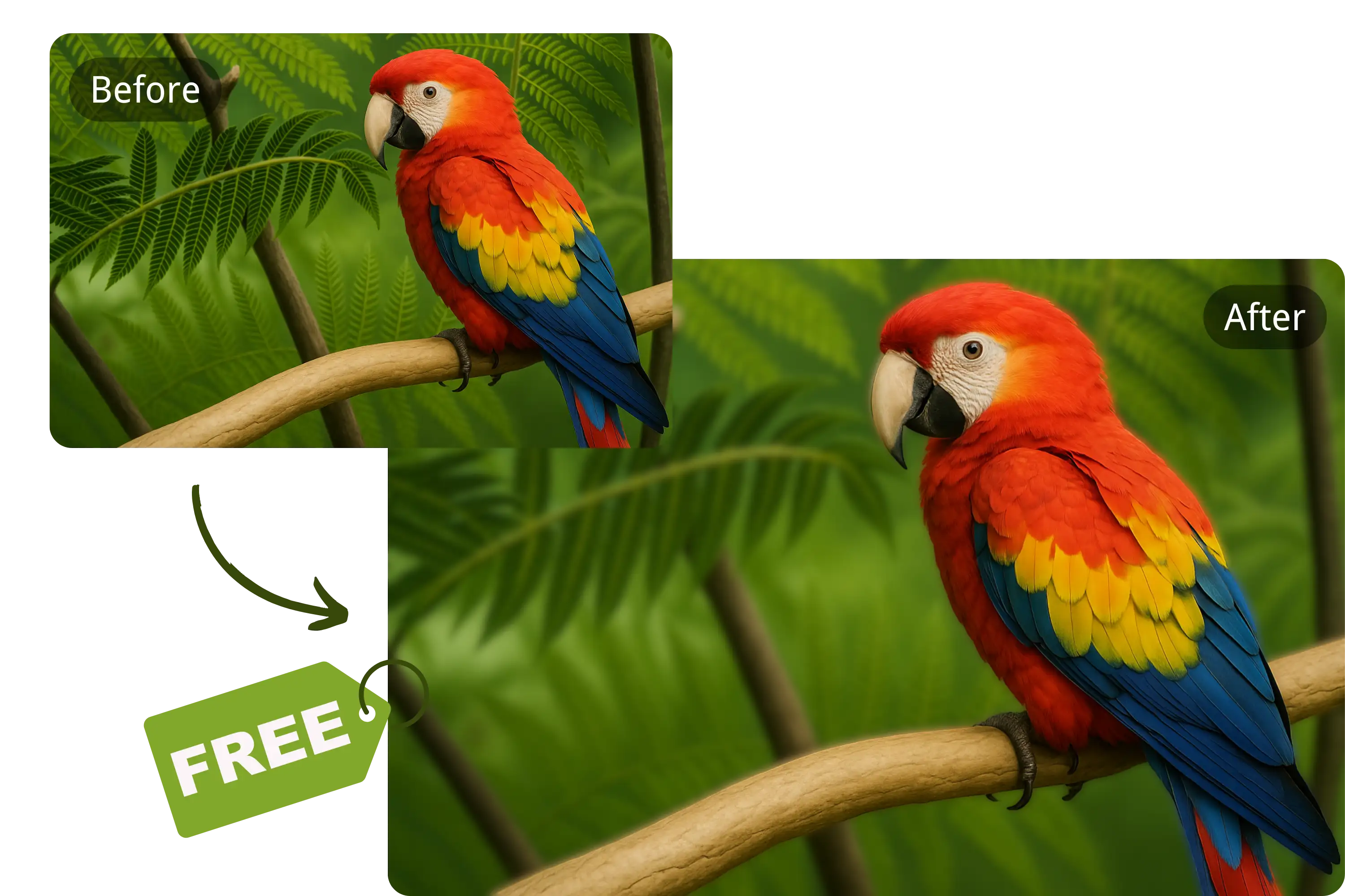 Free Online Blur Image Tool