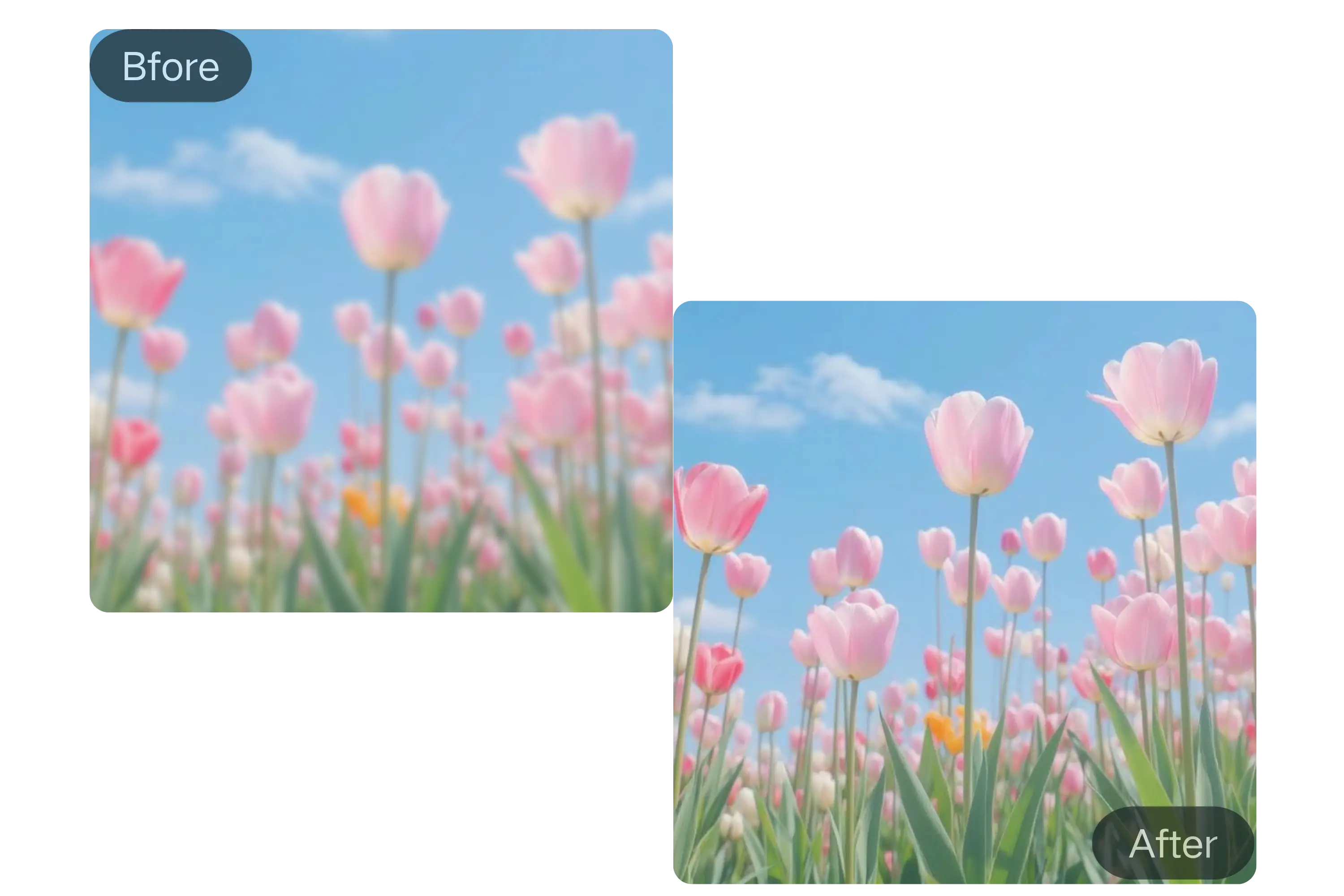 AI Blur Remover Supports Popular Image Formats