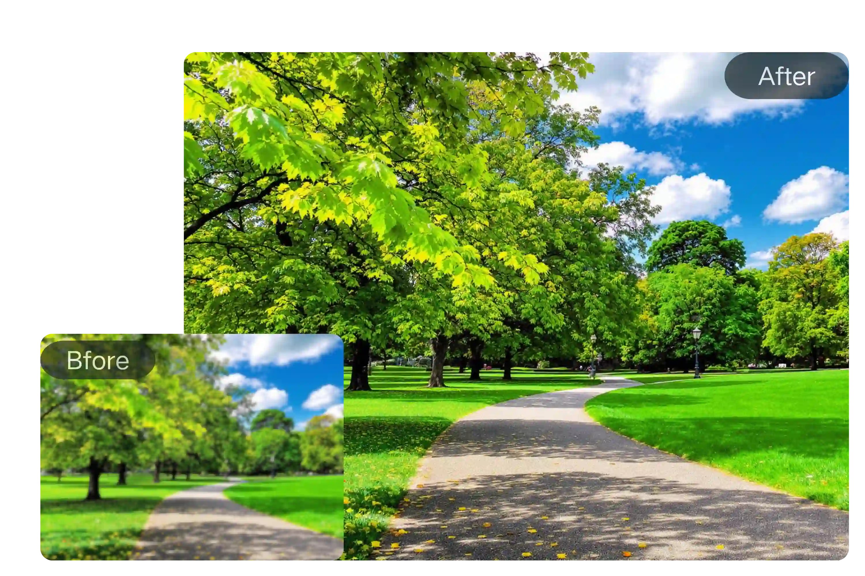 AI Image Sharpener with Noise Reduction